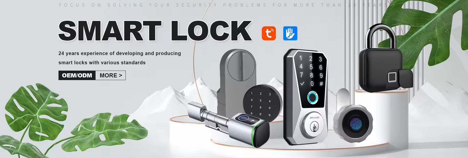 Fingerprint Smart Lock