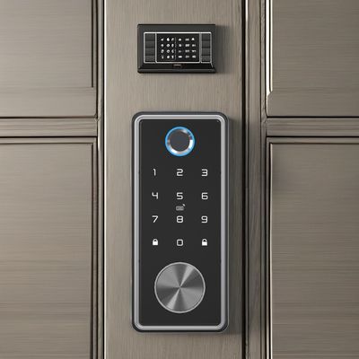 Silvery Zinc Alloy Fingerprint Door Lock for Home Office WiFi Tuya Network Compatible