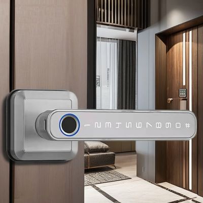 WiFi Connected Bluetooth Entry Lock Handle for Modern Simplicity Style Door Lock