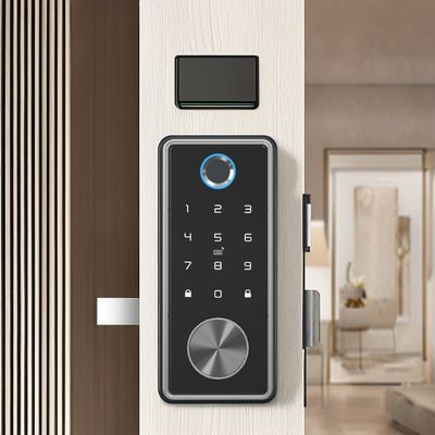 Zinc Alloy Black Blue Tooth Smart Lock for WIFI Network Tuya APP Memory Card