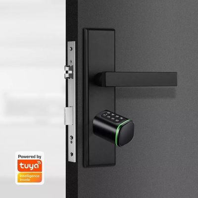 Durable Euro Profile Cylinder Handle Smart Door Lock with Memory Card Storage Options