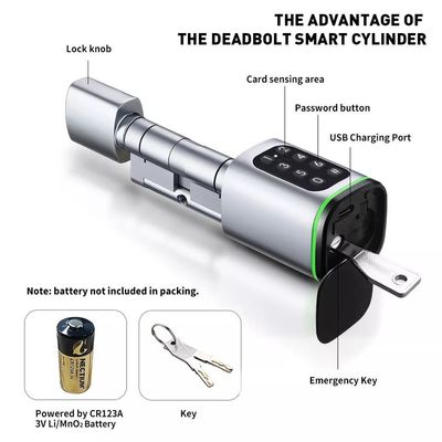 Durable Euro Profile Cylinder Handle Smart Door Lock with Memory Card Storage Options