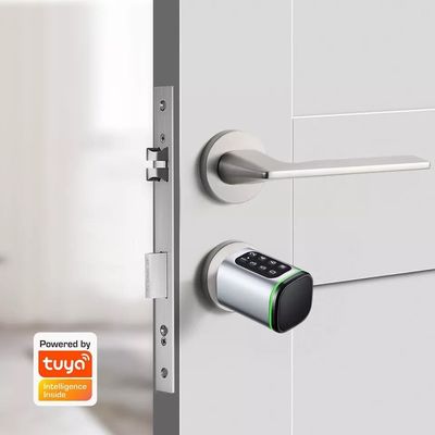 Easily Installed Silver Outdoor Smart Bluetooth Cabinet Lock with TUYA Fingerprint Key