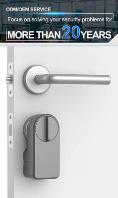 Room Door Digital Keypad Ttlock Smart Home Handle Door Lock Long-Lasting Battery Life