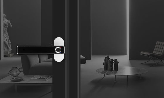 Working Humidity 0 to 90% Relative Humidity Zinc Alloy Electronic Door Lock for Home