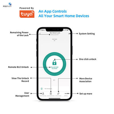 Enhance Your Security with Intelligent Tuya Smart Lock and Digital Cylinder
