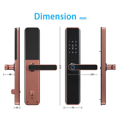 Tuya Electronic Smart Door Lock with Blue-tooth Network Cloud Data Storage Option