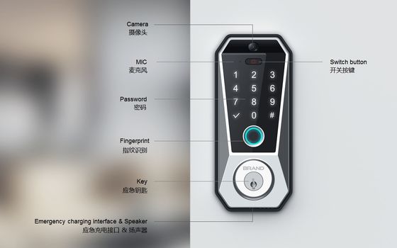 Tuya WIFI Digital Smart Door Lock with Memory Card Data Storage and Fingerprint Access