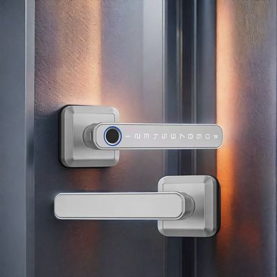 Zinc Alloy Material Wifi Enabled Fingerprint Door Lock Waterproof IP66 for Wood Door