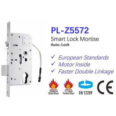 Level Security Electric Lock Polymath Z5572 with CE Certification and Waterproof Design