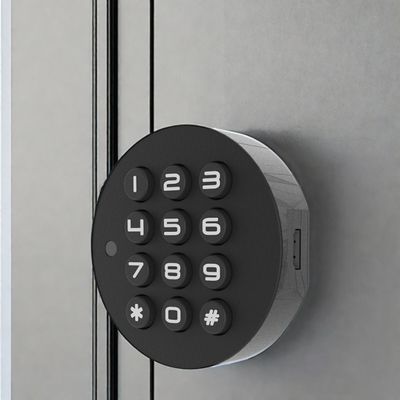 Blue Tooth Network Mini Fingerprint Living Room Cabinets for Wood Door Direct Supply