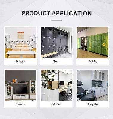 Smart Biometric Storage Cabinet Lock with Memory Card Data Storage and Furniture Lock