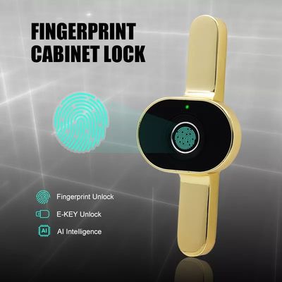 Data Storage Options Memory Card Mini Drawer Smart Electric Lock For Office Cabinet