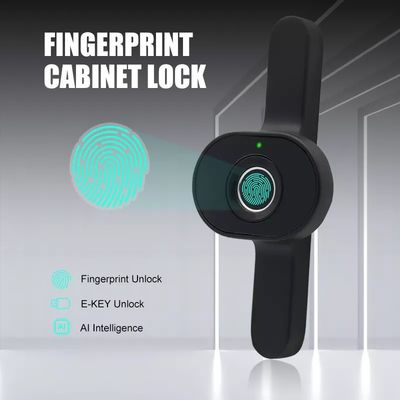 OEM/ODM Keyless Wood Cabinet Lock with Finger Print Door Opening Speed Less Than 0.5s