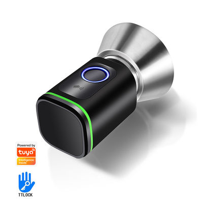 Secure Your Home with TUYA WiFi BLE Smart Bedroom Door Lock Cylinder and Memory Card