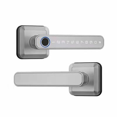Smart WiFi Network Enabled TTlock Tuya Fingerprint Door Lock with Passcode Unlock Method