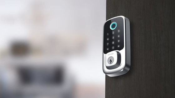 Outdoor Fingerprint Door Lock with Smart Security Key and Memory Card Functionality