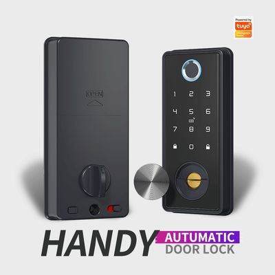 Aluminum Door TUYA Smart Lock with Fingerprint Recognition and Memory Card Storage