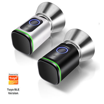 Black Silver Passcode TUYA APP Deadbolt Door Lock Wifi Network Reader Dimension 42*42mm
