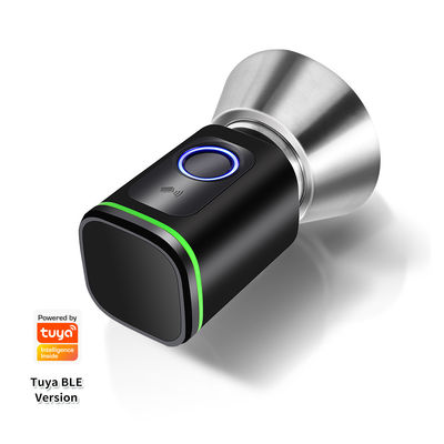 Black Silver Passcode TUYA APP Deadbolt Door Lock Wifi Network Reader Dimension 42*42mm