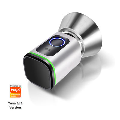 Black Silver Passcode TUYA APP Deadbolt Door Lock Wifi Network Reader Dimension 42*42mm