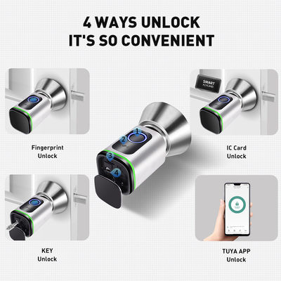 Black Silver Passcode TUYA APP Deadbolt Door Lock Wifi Network Reader Dimension 42*42mm