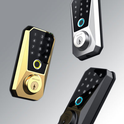 Customizable Zinc Alloy Smart Lock Competitive for Wifi Enabled Fingerprint Door Lock