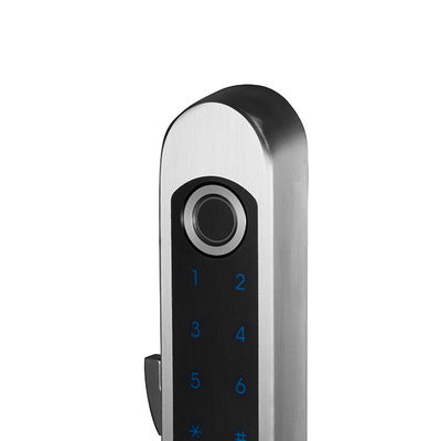 Waterproof Stainless Steel Biometric Fingerprint Glass Door Lock for Sliding Doors
