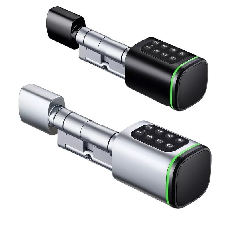 Memory Card Smart Digital Lock Tuya Wifi App Security for Home Office Small Oval Cylinder
