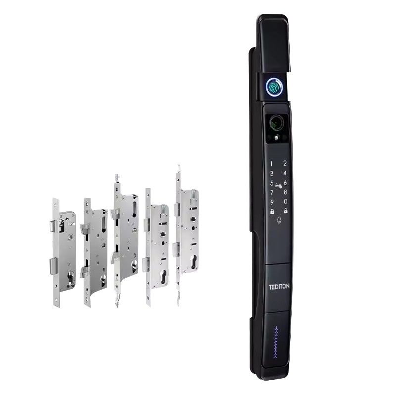 Secure Your Home with TUYA Smart Door Lock 3D Face Recognition and Memory Card Storage