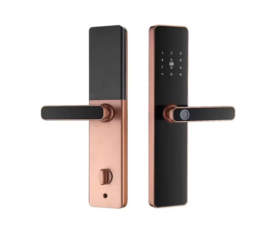Tuya Electronic Smart Door Lock with Blue-tooth Network Cloud Data Storage Option