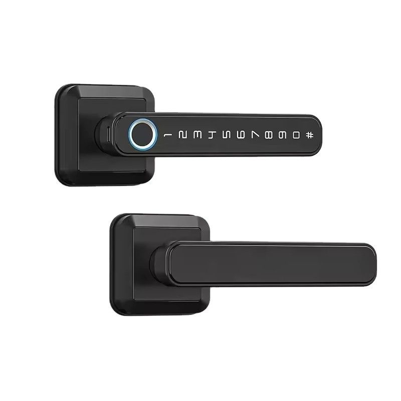 Memory Card Data Storage Smart Lock for Wood Door Waterproof IP66 Fingerprint Wifi