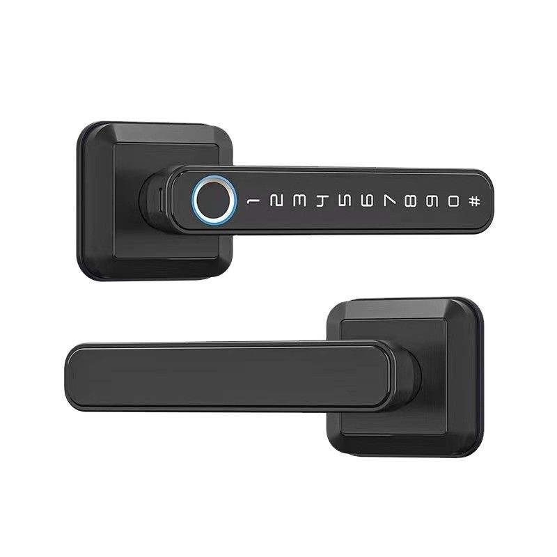 Zinc Alloy Material Wifi Enabled Fingerprint Door Lock Waterproof IP66 for Wood Door