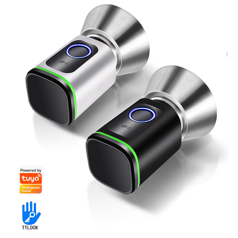 Secure Your Home with TUYA WiFi BLE Smart Bedroom Door Lock Cylinder and Memory Card