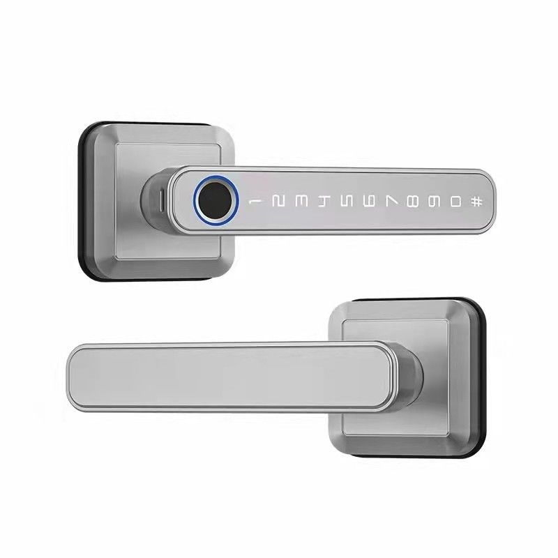 Smart WiFi Network Enabled TTlock Tuya Fingerprint Door Lock with Passcode Unlock Method