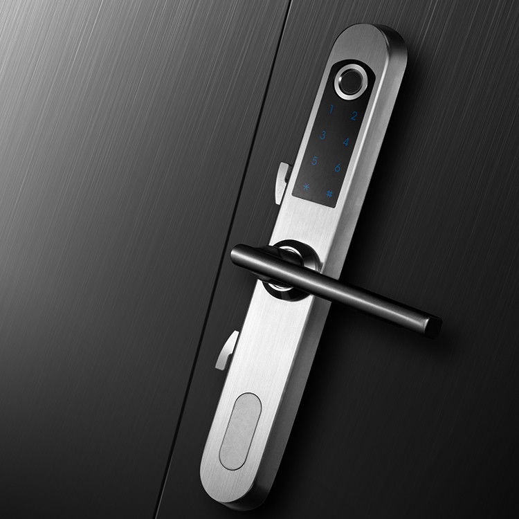 Digital Biometric Glass Door Lock with 304 Stainless Steel Handle and Fingerprint Unlock