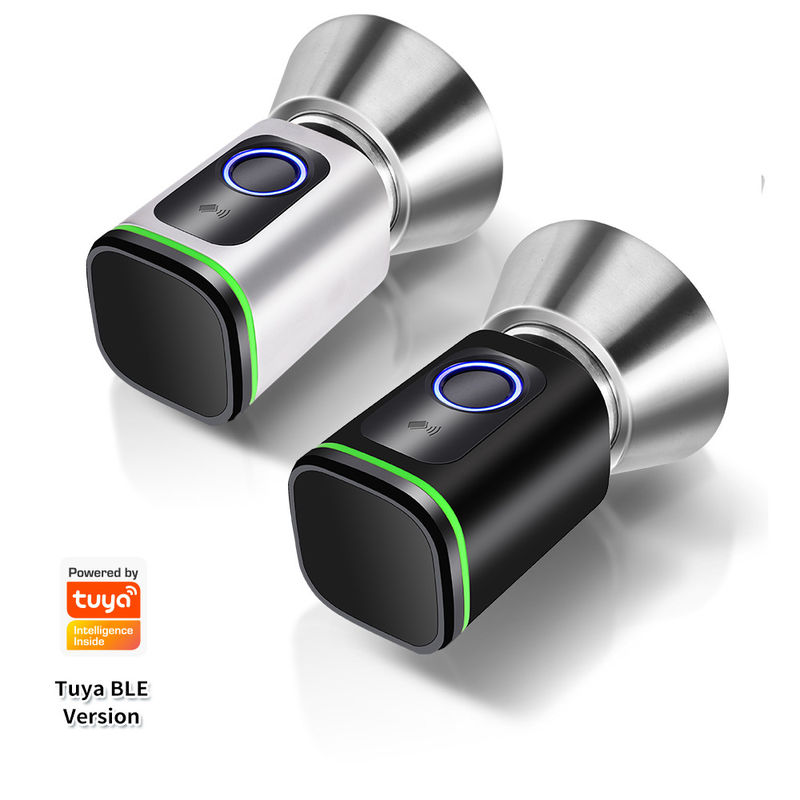 Black Silver Passcode TUYA APP Deadbolt Door Lock Wifi Network Reader Dimension 42*42mm